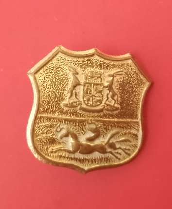 DURBAN LIGHT INFANTRY COLLAR PIN POST 1964