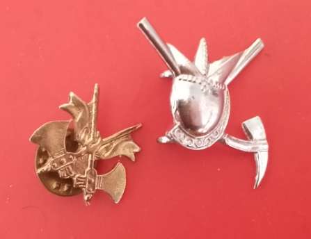 SA FIRE BRIGADE BADGE-SEE SCANS