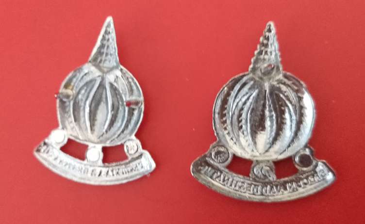 SOUTH AFRICAN DEFENCE FORCE FINANCIAL SERVICE CAP BADGE SET OF 2