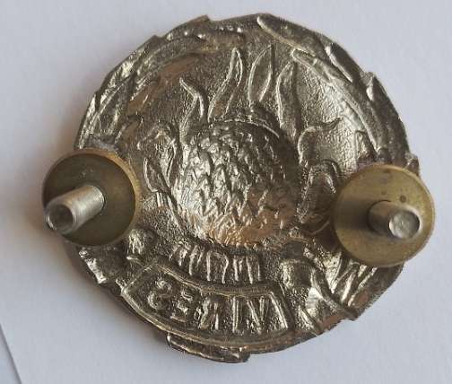 REGIMENT BOLAND CAP BADGE,CHROME,WORN POST 1964-2X SCREW LUGS