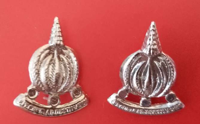 SOUTH AFRICAN DEFENCE FORCE FINANCIAL SERVICE CAP BADGE SET OF 2