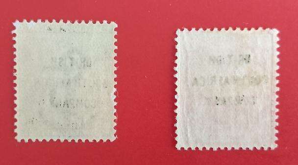 CAPE OF GOOD HOPE 1896 OVER PRINT BSAC MINT SACC 51&52