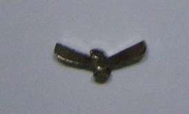 Ribbon Emblem John Chard for Air Force