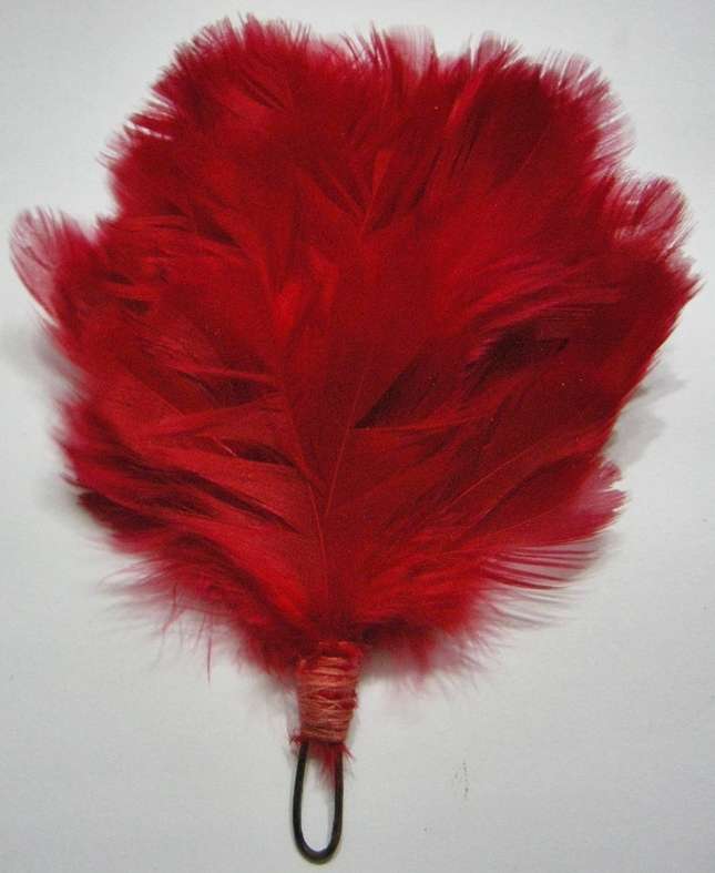Transvaal Scottish Red Hackle