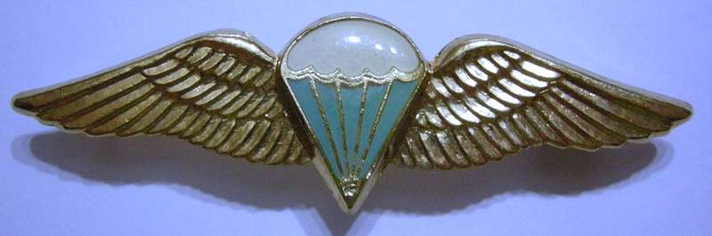 SA Parachute Basic Paratrooper 8 Jumps or More Wing Full Size
