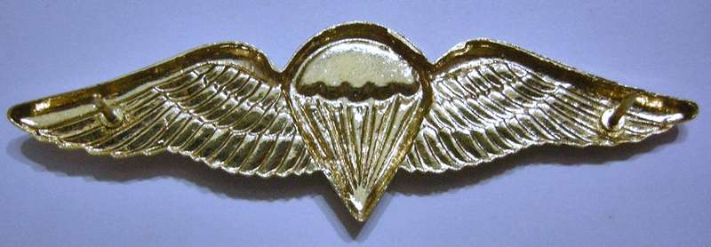 SA Parachute Basic Paratrooper 8 Jumps or More Wing Full Size