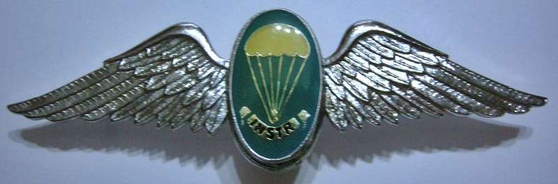 SA Parachute Static Line Instructor Lucite Covered Full Size Wing