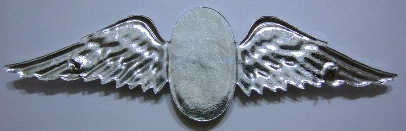 SA Parachute Static Line Instructor Lucite Covered Full Size Wing