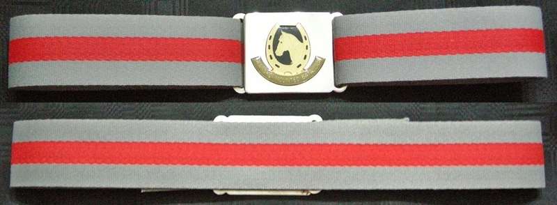 Transkei Defence Force Mounted Battalion Stable Belt