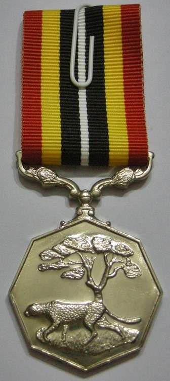 Full Size Southern Africa Medal Uniface Susp Short Grass Crisp Detail Mirror Finish Nr @ Back