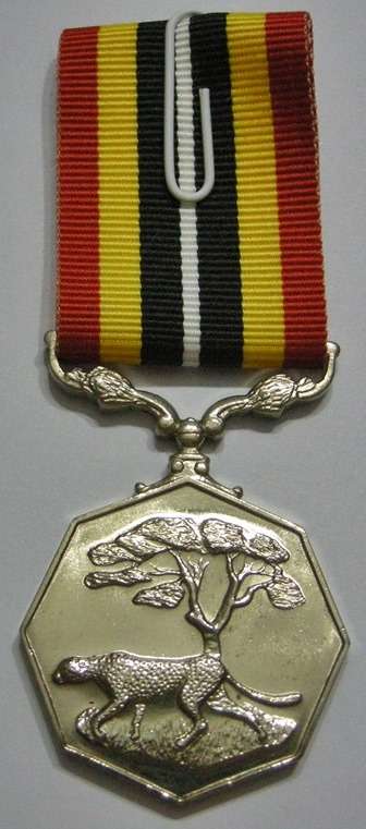 Full Size Southern Africa Medal Uniface Susp Short Grass Crisp Detail Mirror Finish Nr @ Back