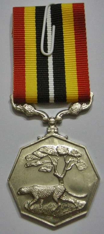 Full Size Southern Africa Medal Uniface Susp Short Grass Crisp Detail Matte Nr @ Back