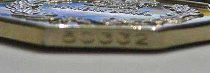 Full Size Southern Africa Medal Double Face Suspender Tall Grass Poor Detail Nr Engraved on Rim