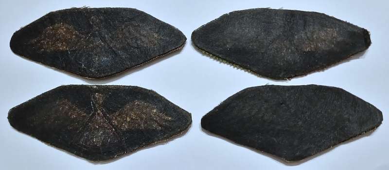 Lesotho Defence Force Parachute Wings Embroidered on Camo x 4