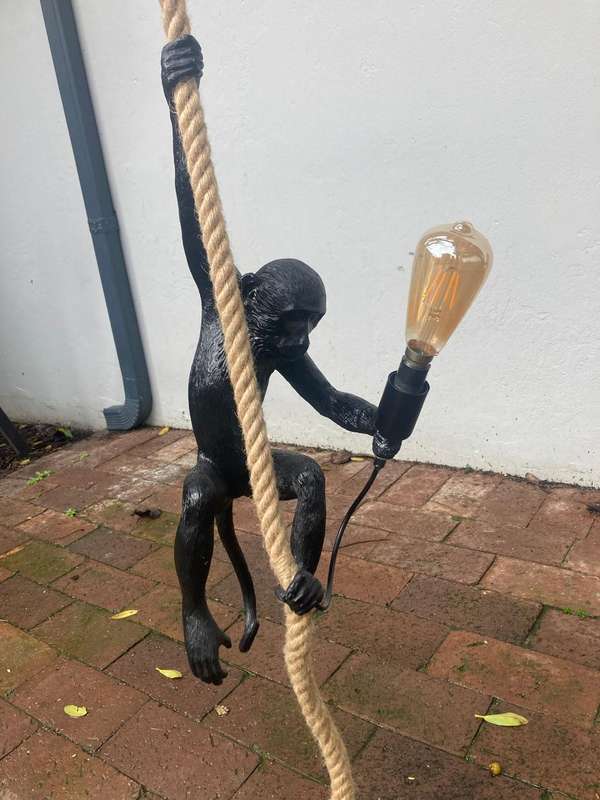 Monkey Hanging Light ( 58 cm )