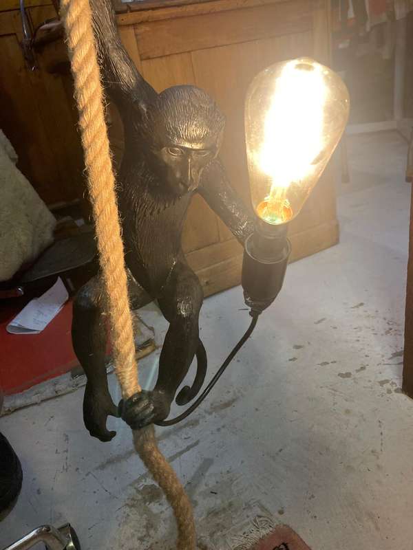 Monkey Hanging Light ( 58 cm )
