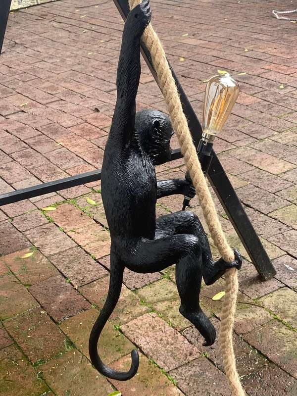 Monkey Hanging Light ( 58 cm )