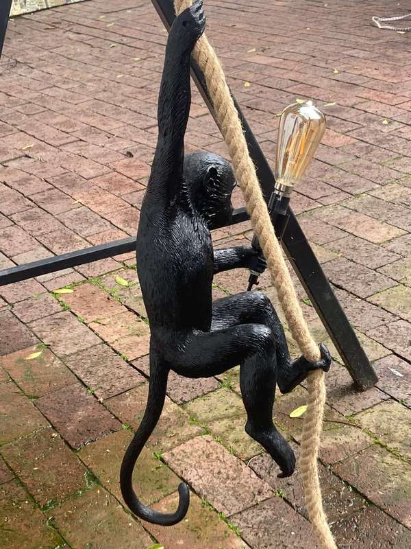 Monkey Hanging Light ( 58 cm )