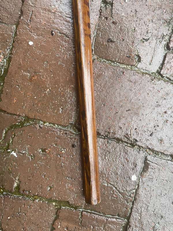Boer War : POW Walking Stick St Helena 1901