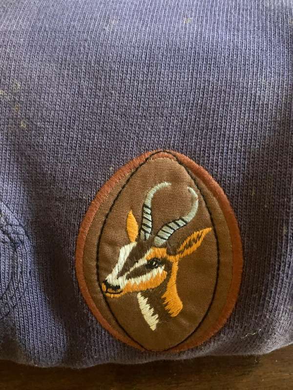 Rugby Players Jersey : Junior Springbok ( no number )