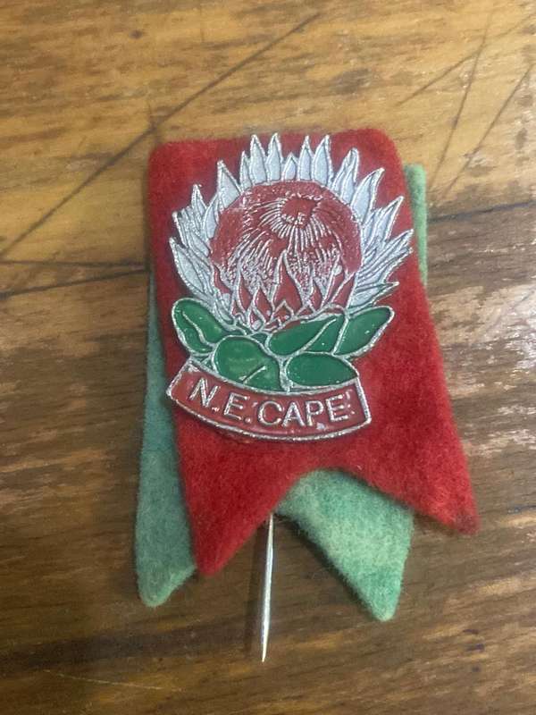 Rugby Pins : Collection of 7 Vintage Rugby Pins