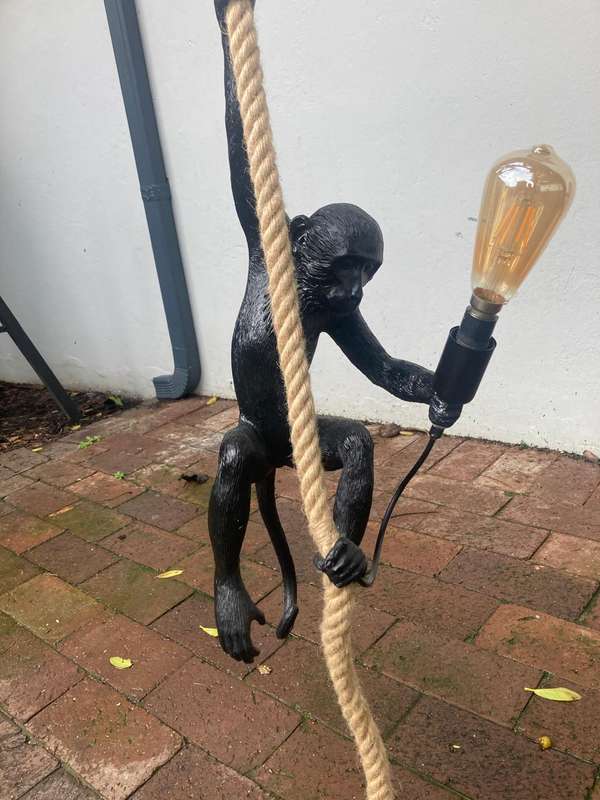 Monkey Hanging Light ( 58 cm )