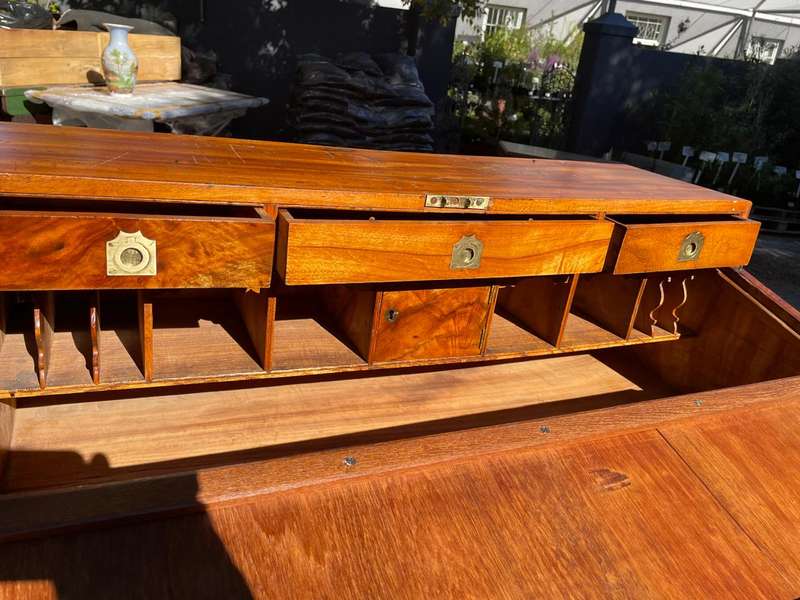 Rare Camphorwood Military Campaign Chest/ Secretaire on Chest ( 108 x 90 x 47 cm )