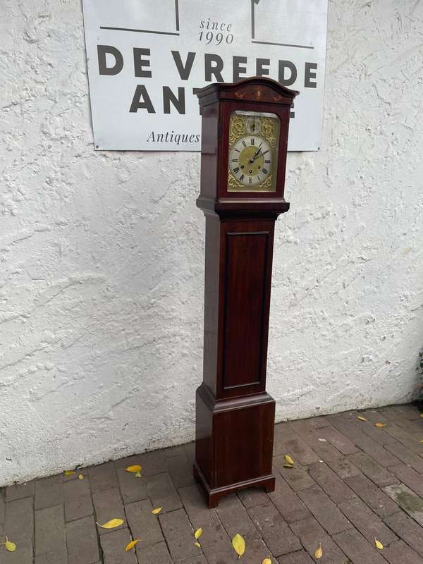 Beautiful Mahogany Gustav Becker Longcase Clock ( 153 x 28 x 18cm )