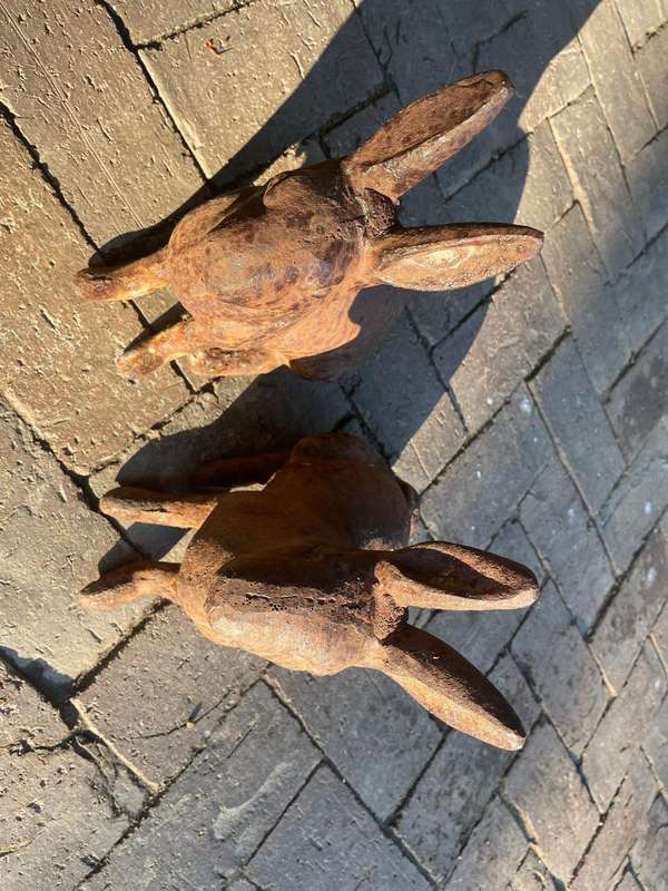 Rare pair of Cast Iron Bunnys (27cm )