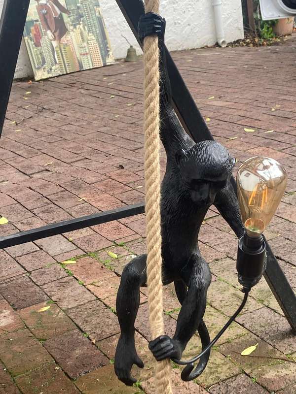 Monkey Hanging Light ( 58 cm )