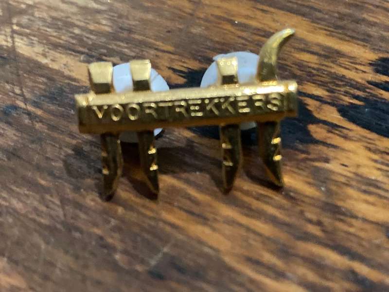 Collection of Afticana Pins and Badges