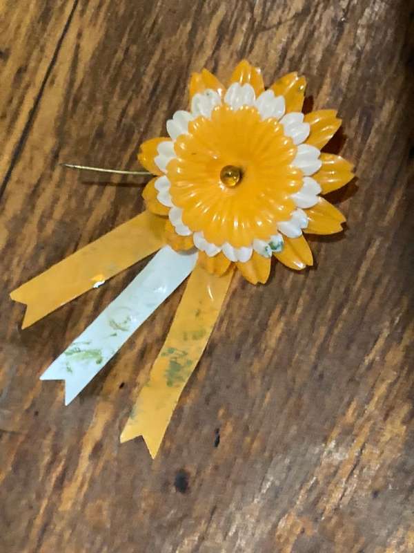Collection of Afticana Pins and Badges