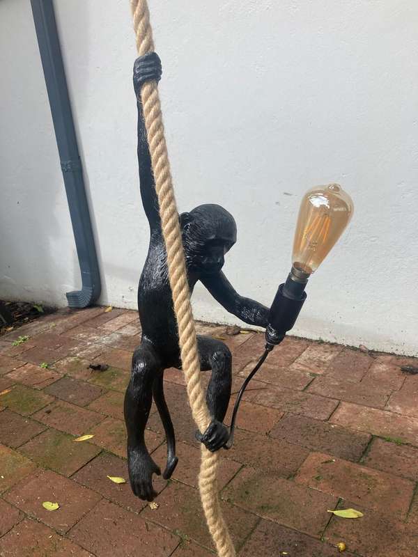 Monkey Hanging Light ( 58 cm )