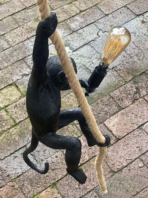 Monkey Hanging Light ( 58 cm )