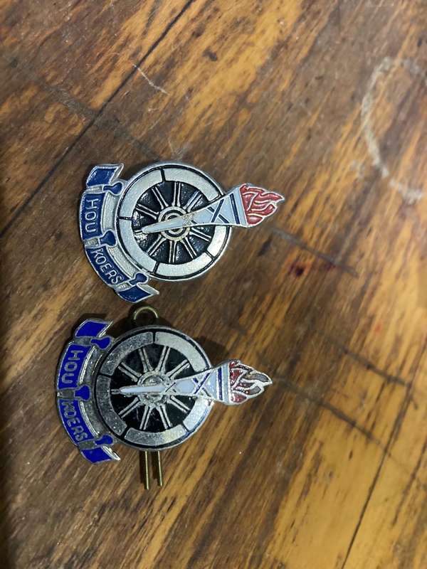 Collection of Afticana Pins and Badges