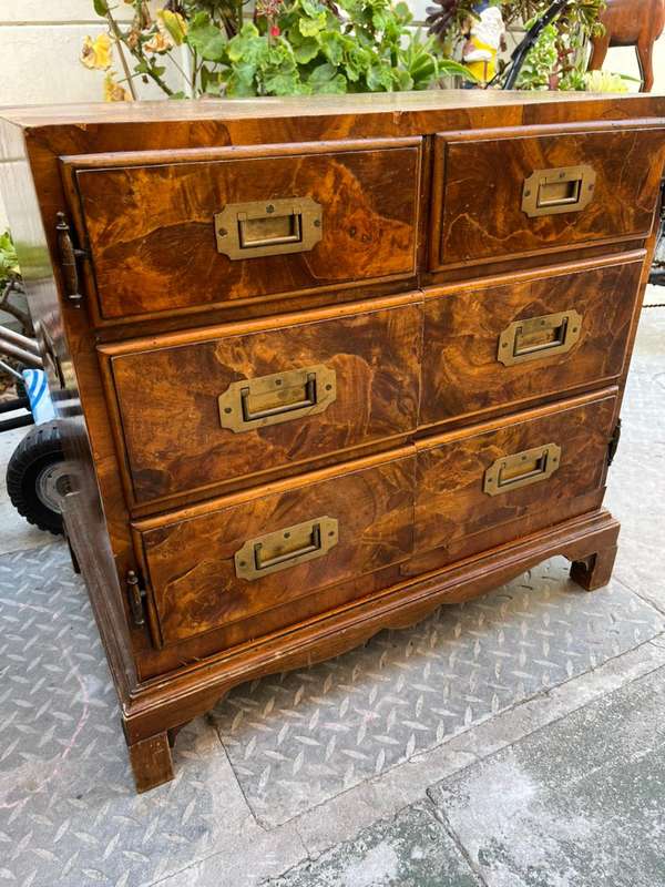 Beautiful Burr Walnut Campaign Style Chest ( 68 x 66 x 40 cm )