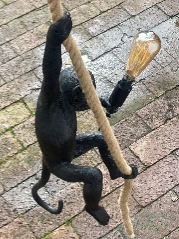 Monkey Hanging Light ( 58 cm )