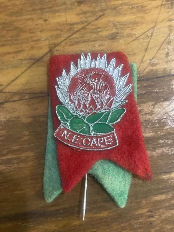 Rugby Pins : Collection of 7 Vintage Rugby Pins