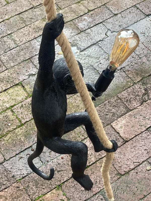 Monkey Hanging Light ( 58 cm )