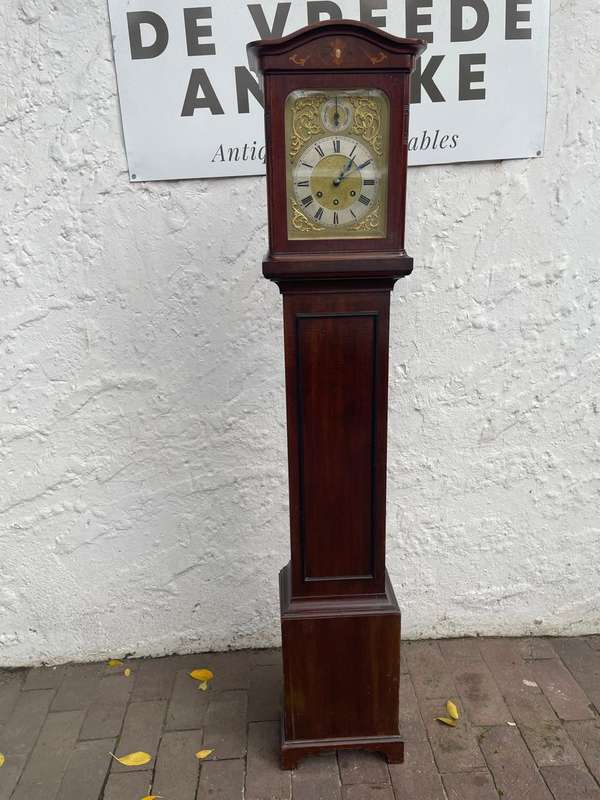 Beautiful Mahogany Gustav Becker Longcase Clock ( 153 x 28 x 18cm )