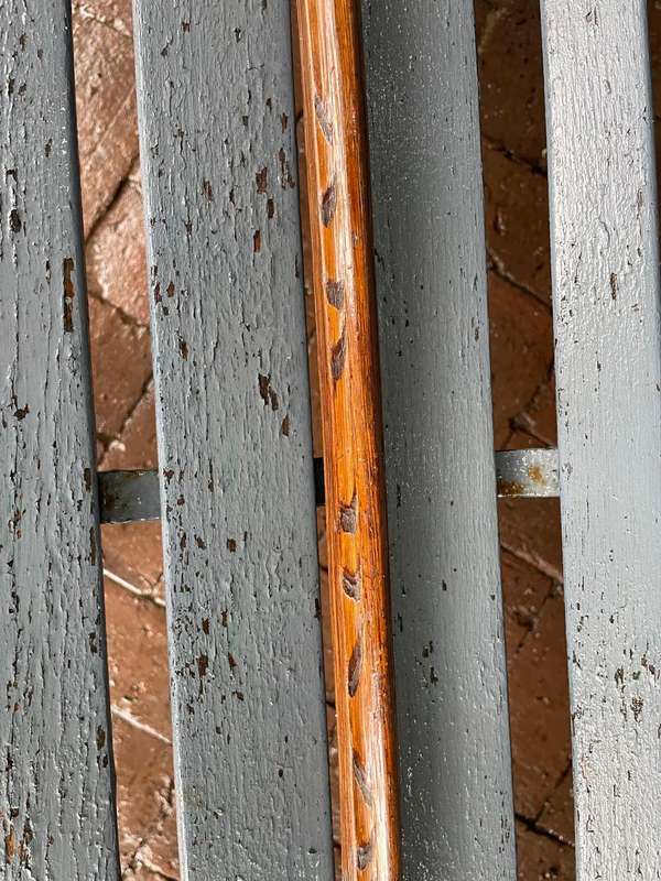 Boer War : POW Walking Stick St Helena 1901