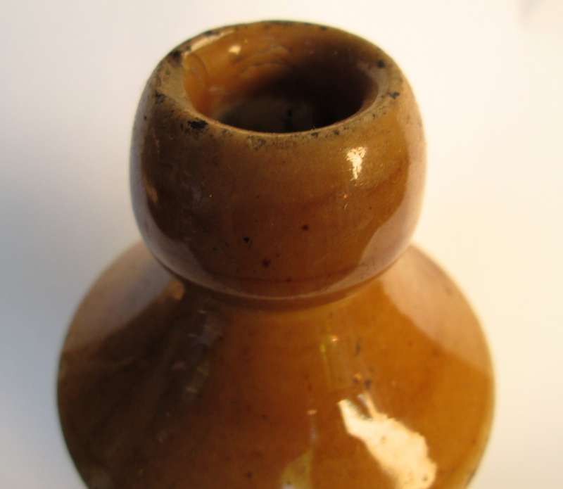 W. DALY DURBAN GINGER BEER BOTTLE
