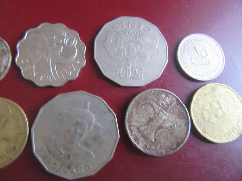 GOOD START FOR THE BEGINNER - 10 INTERNATIONAL COINS - AS PER SCAN - CO9