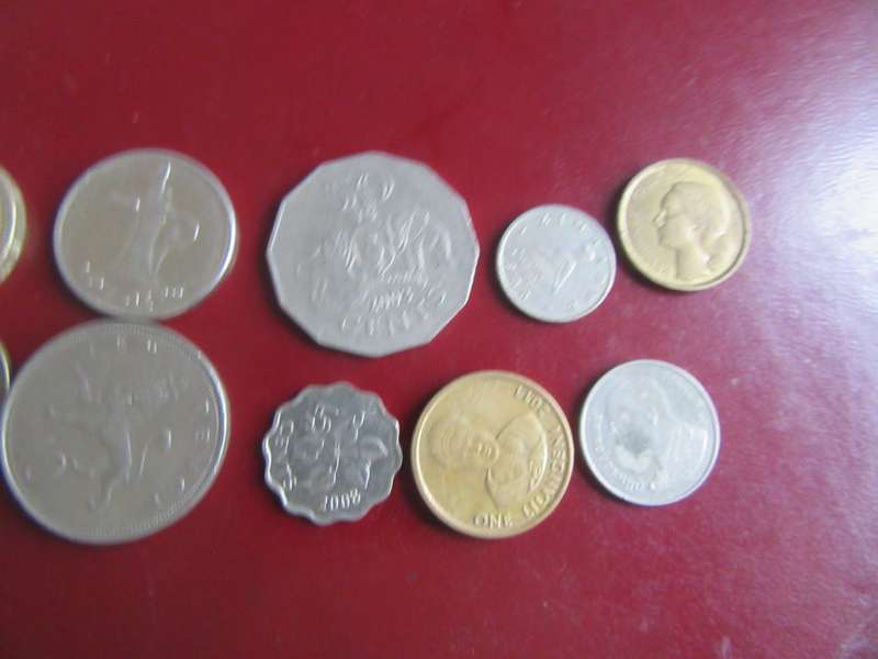 GOOD START FOR THE BEGINNER - 10 INTERNATIONAL COINS - AS PER SCAN - CO14