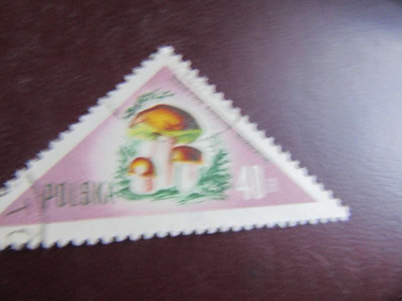 POLAND - MUSHROOMS - P2
