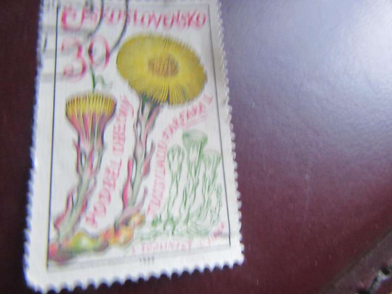 CZECHOSLOVAKIA - MUSHROOMS - P2