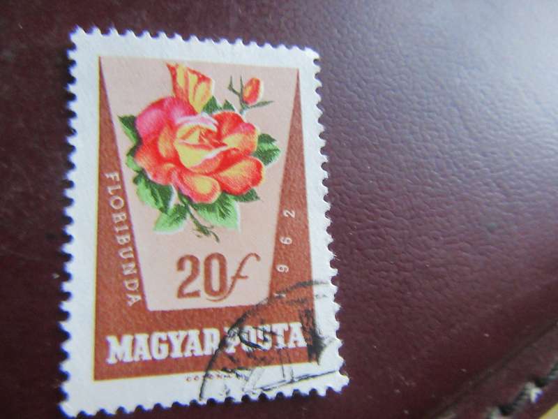 HUNGARY - FLOWERS - P2