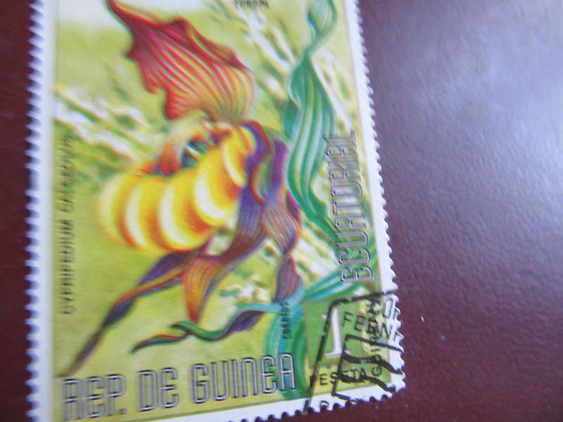 DE GUINEA - FLOWERS - P2