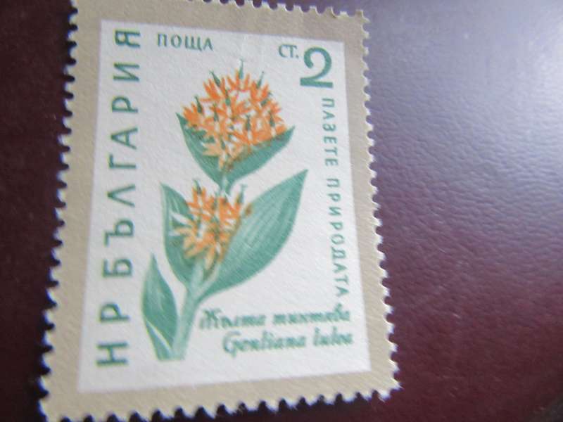 RUSSIA- FLOWERS - P2