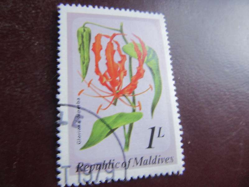 MALDIVES - FLOWERS - P2